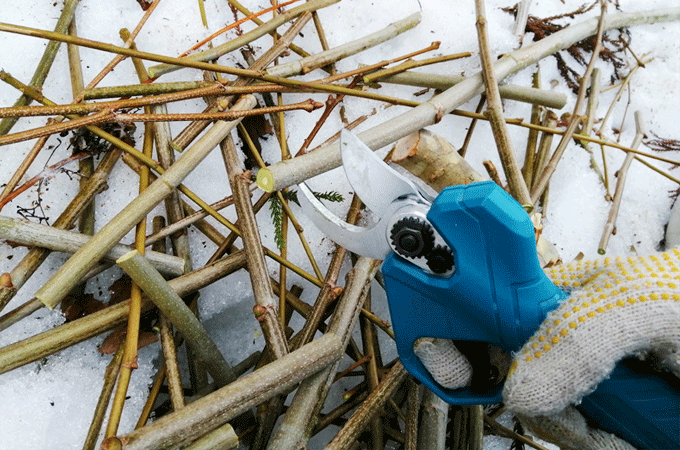 電動剪定ハサミ　枝処理