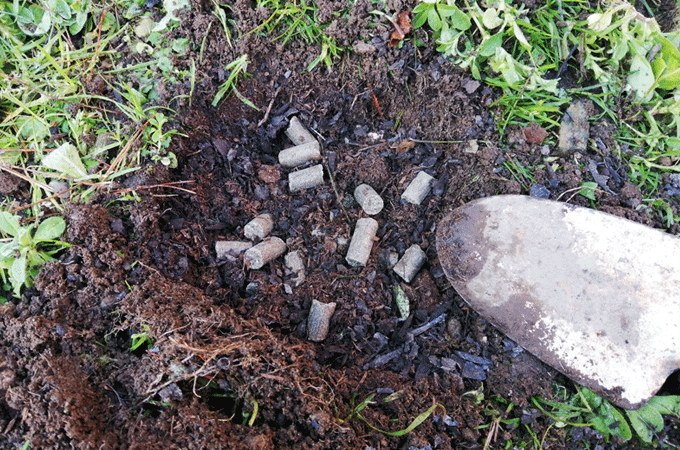 庭木に寒肥　冬の庭作業　有機質の油粕、骨粉、牛糞、腐葉土を土に埋める