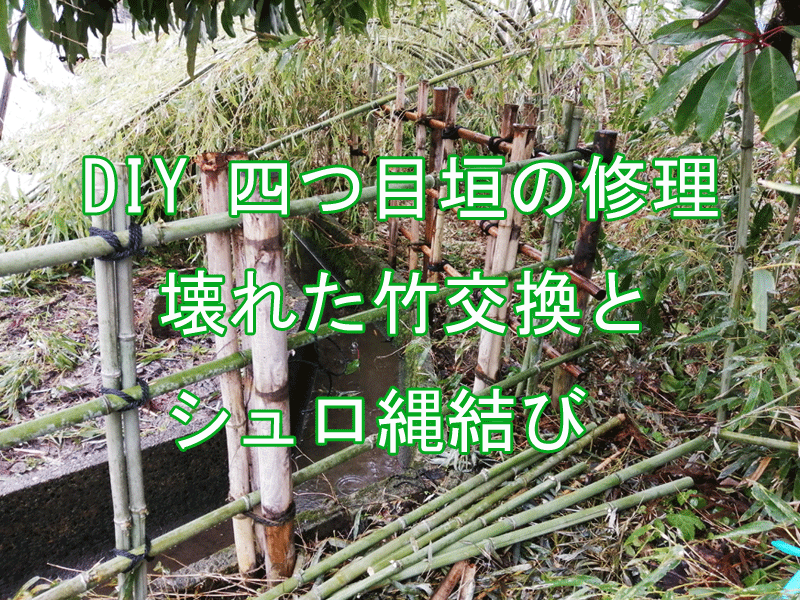 自分で四つ目垣の補修　竹とシュロ縄を新しくする