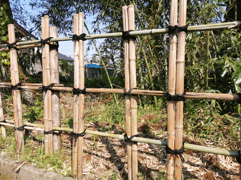 四つ目垣　壊れた竹の交換