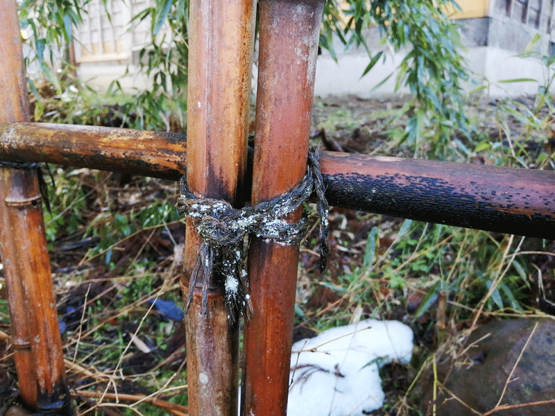 古くなった竹垣と縄　カビ