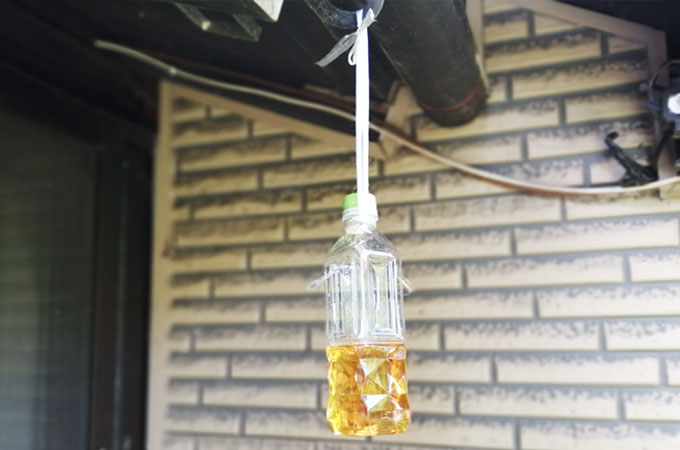 カメムシ対策に木酢液で忌避剤を自作　ペットボトルを軒下に吊るす