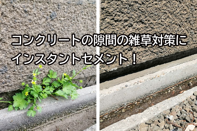 コンクリートの隙間の雑草対策にインスタントセメント